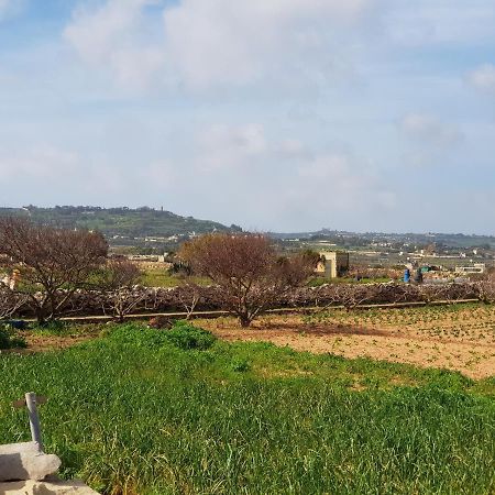 Siggiewi Auberge De Provence旅馆 外观 照片