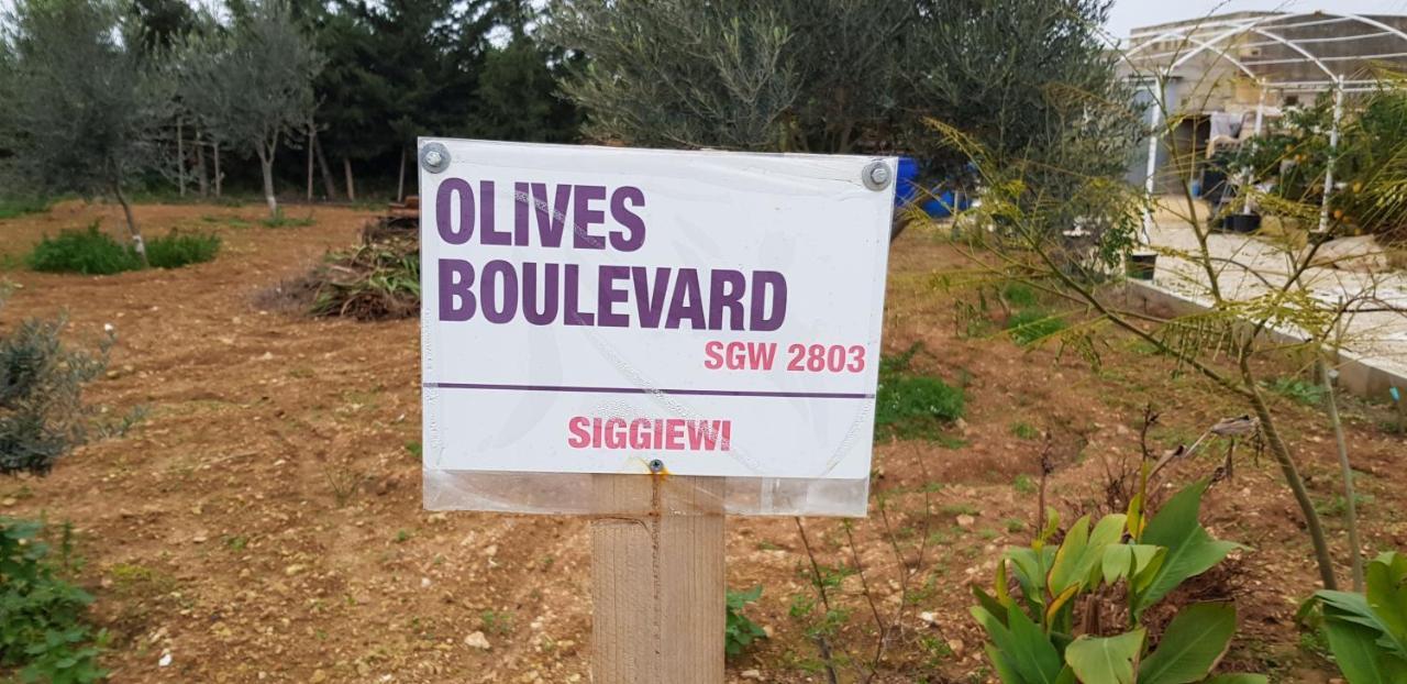 Siggiewi Auberge De Provence旅馆 外观 照片