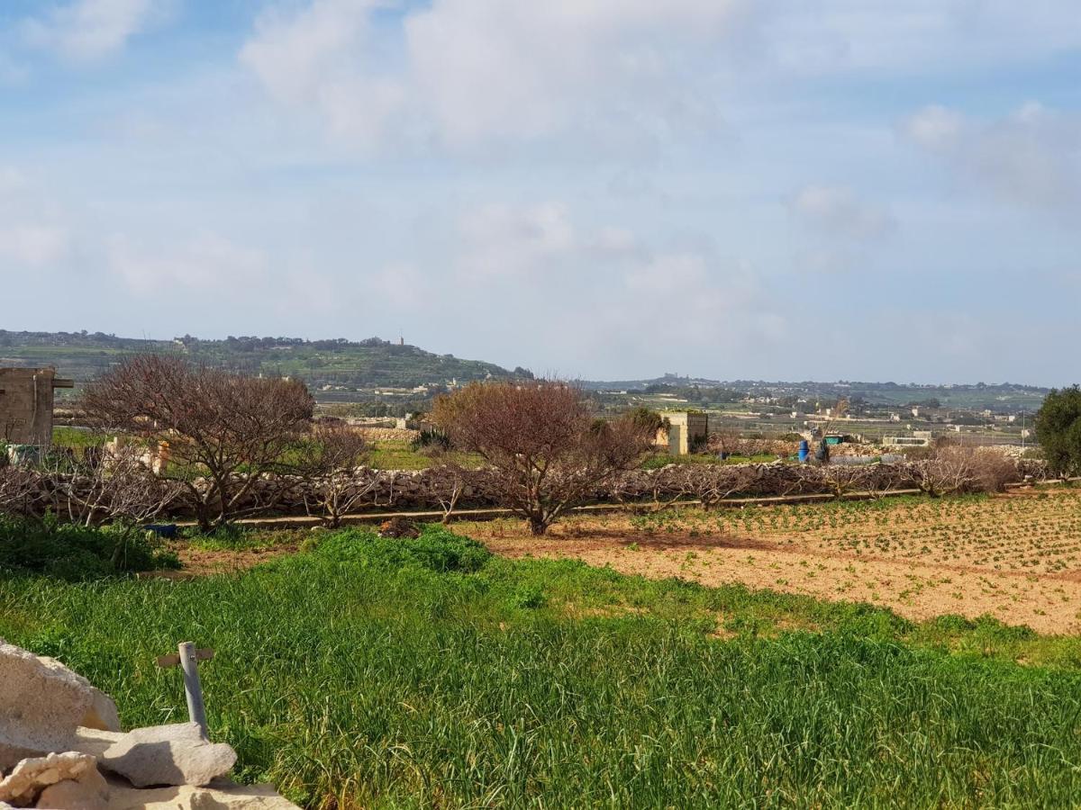 Siggiewi Auberge De Provence旅馆 外观 照片